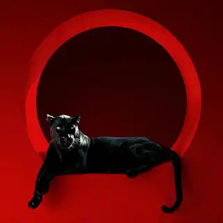 Loading the media file...