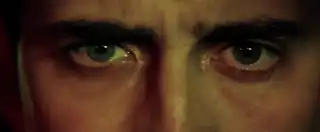 Loading the media file...