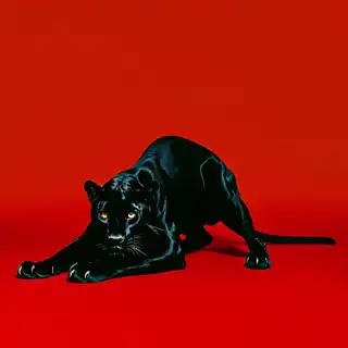 Loading the media file...