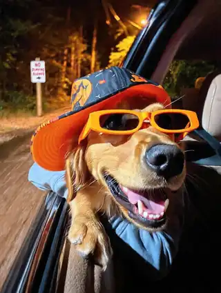 Loading the media file...