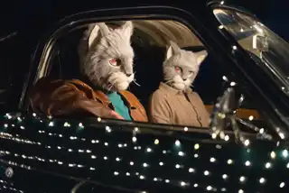 Loading the media file...