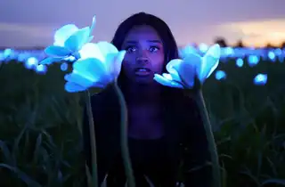 Loading the media file...